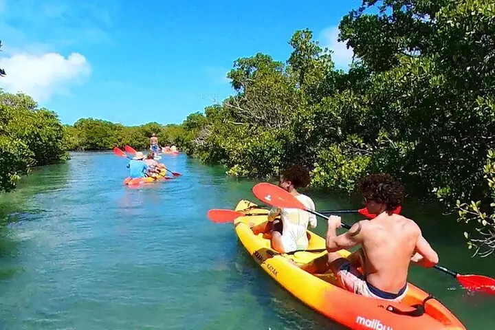 Key West Sandbar Charter With Kayak Tour: Includes Lunch & Drinks