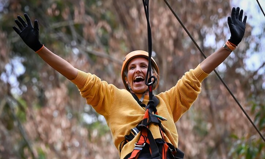 Image 6: Zipline over the Heysen Trail & Through the Pines of Kuitpo