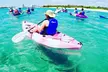 2-Hour Dolphin Kayak & Snorkel Tour on the Broadwater - Image 4
