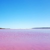 Image 1: WA Pink Lake and Scenic 3 Day Chinese Tour with Drone Photo