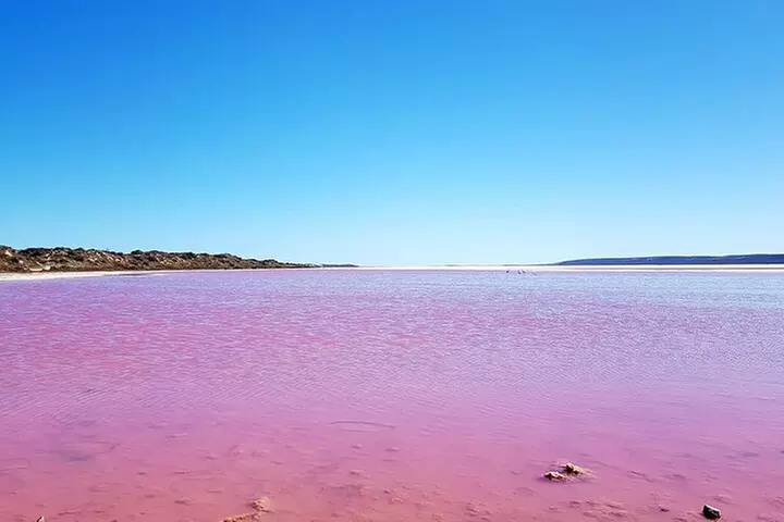 WA Pink Lake and Scenic 3 Day Chinese Tour with Drone Photo - Primary Image