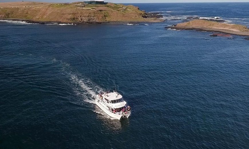 Image 3: Phillip Island Seal-Watching Cruise