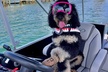 Destin- Private Chartered Slide Pontoon Boat-Up to 6 Guests - Second Medium