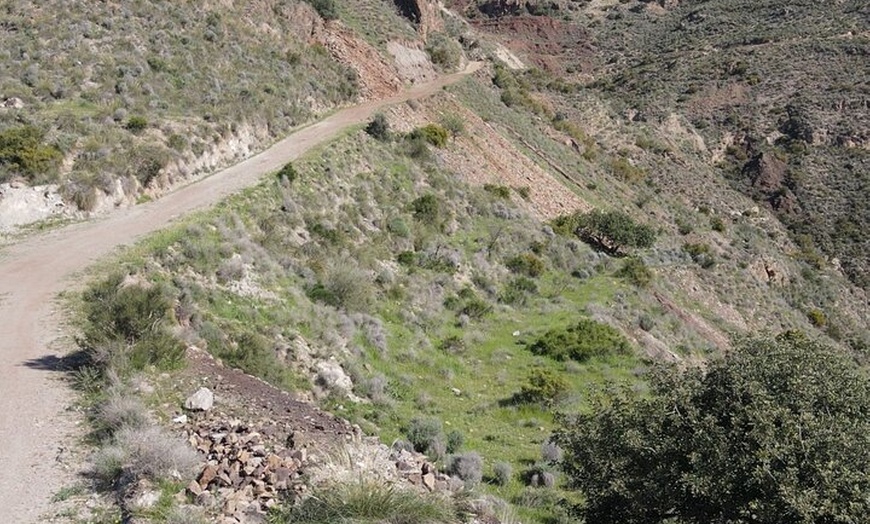 Image 4: Safari en jeep Mojarcar y aventura de tapas españolas en Bedar Moun...