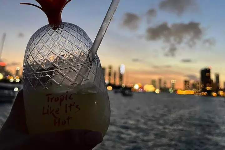 Miami and Bayside 90 min Cruise of Celebrity Islands