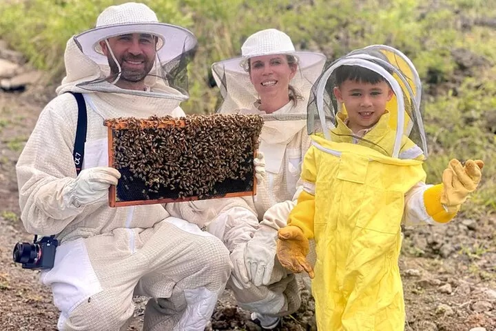 Honey Bee Adventure at the Maui Honey Bee Sanctuary