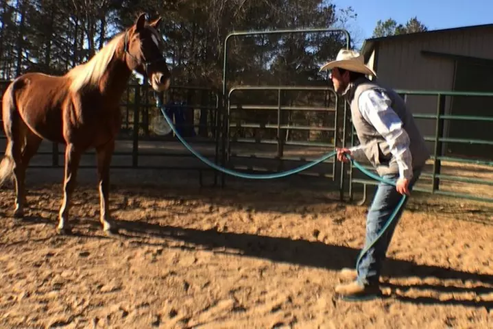 The Equine Experience - Primary Image
