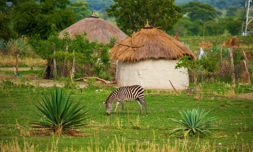 Image 14: ✈ TANZANIA | Dal Kilimangiaro a Zanzibar - Safari dans la savane & ...