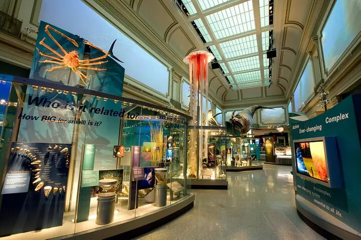 Smithsonian Natural History + American History - Exclusive Tour