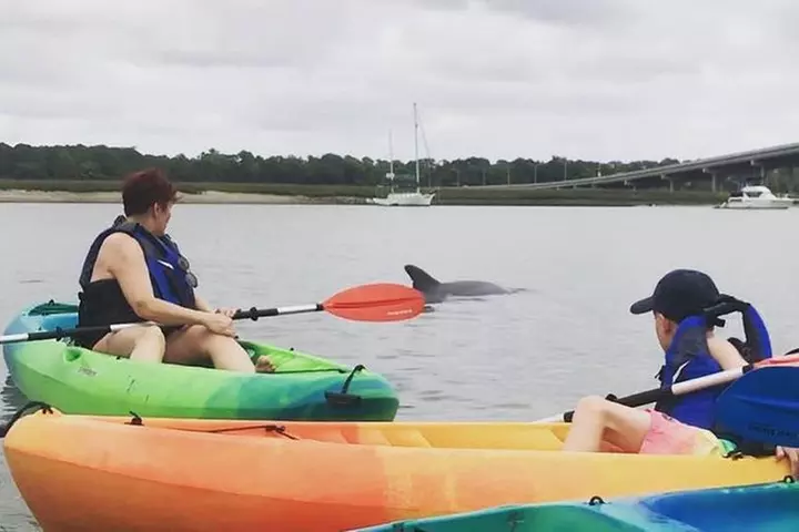 Hilton Head Guided Kayak Eco Tour