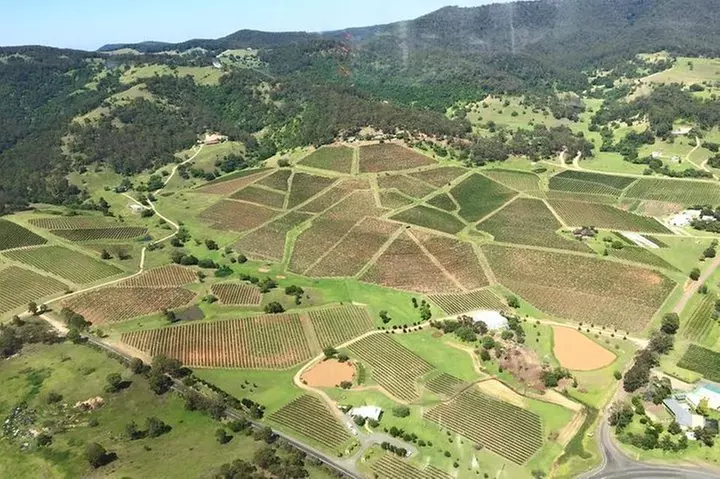 12-Minute Small-Group Hunter Valley Scenic Helicopter Flight