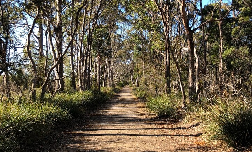 Image 4: Bruny Island Nature and Tasting Active Day Tour