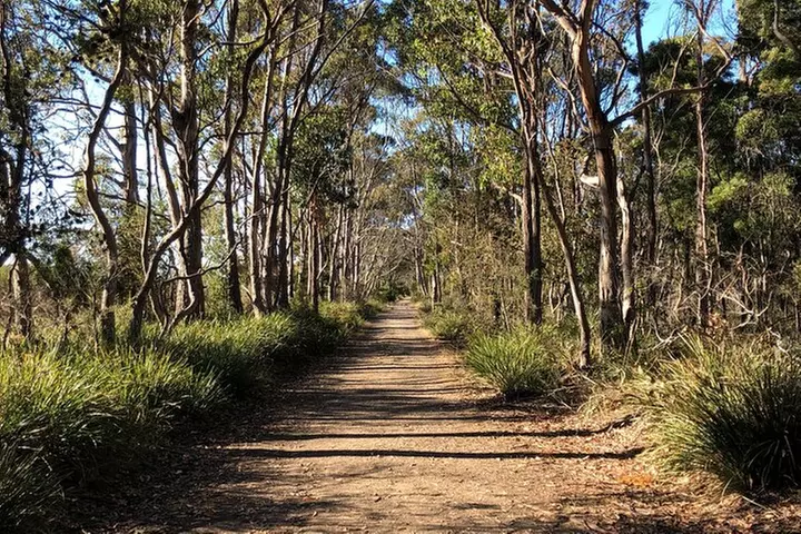 Hobart: Bruny Island Adventure: Hiking, Highlights & Local tastes