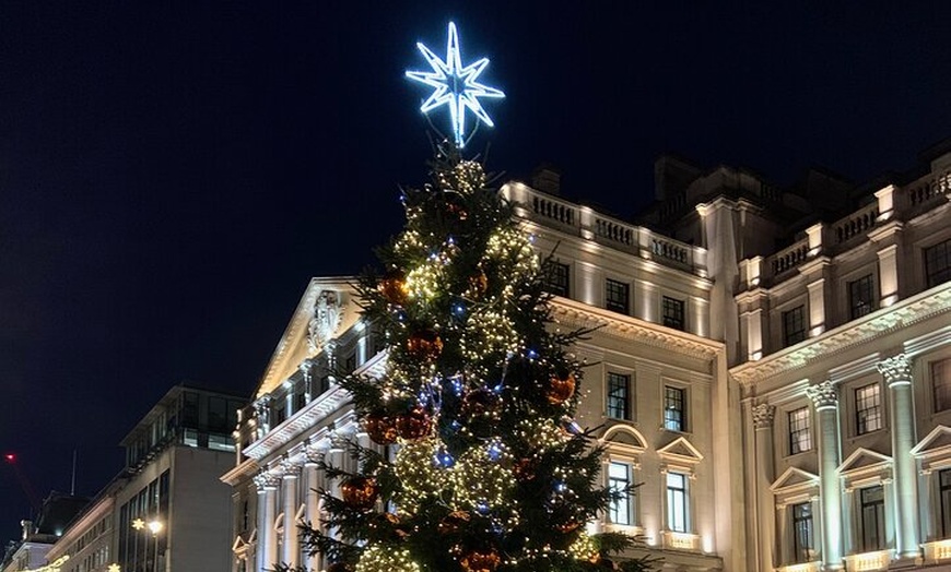 Image 3: London Bespoke Black Cab Christmas Lights & Sights Private Tour