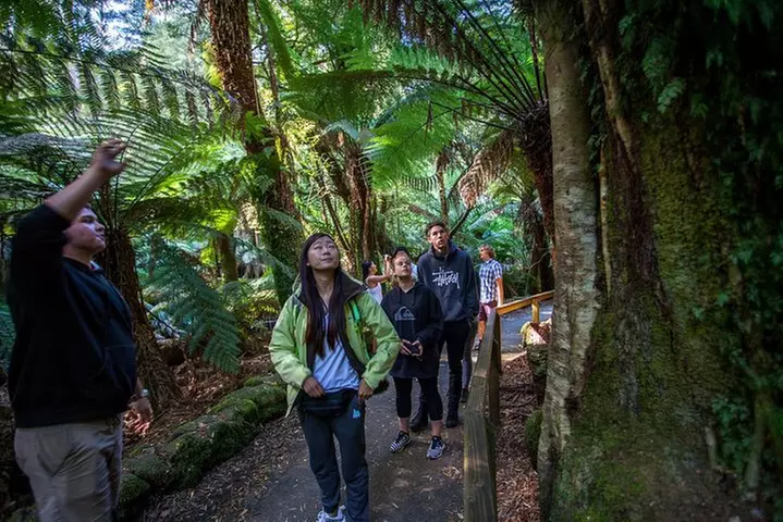 Hobart: Mt. Field, Mt Wellington & Wildlife - Active Day Tour