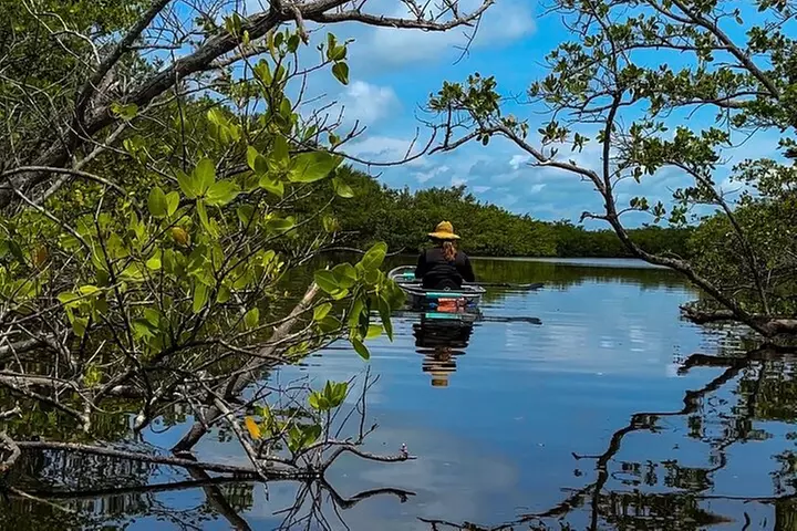 Clear Kayak Ecotour at Robinson Preserve in Bradenton, Florida