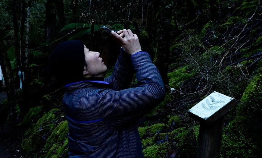 Image 26: Mt Field, Mt Wellington & Tassie Devils Active Tour from Hobart