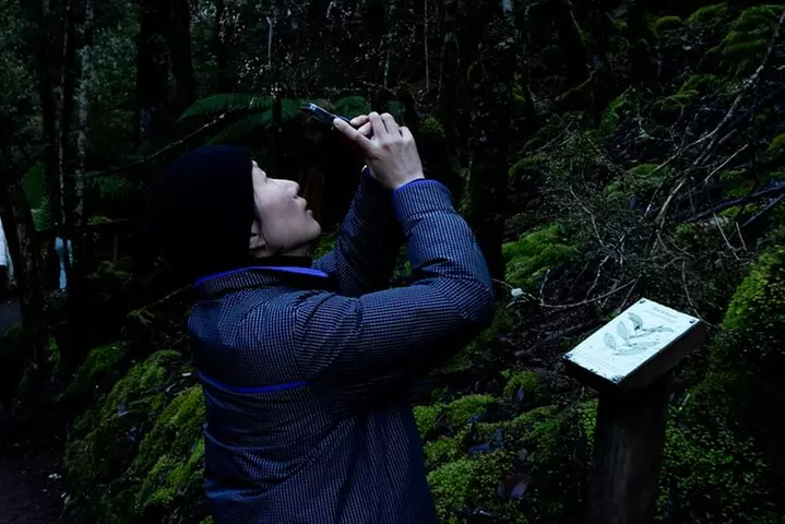 Hobart: Mt. Field, Mt Wellington & Wildlife - Active Day Tour