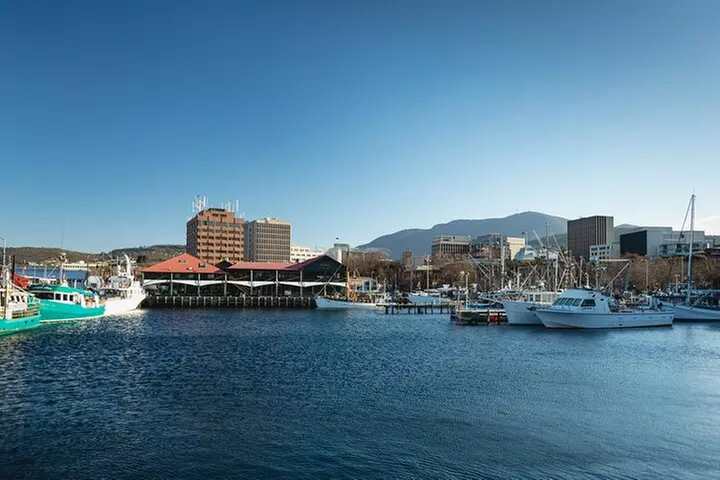 Hobart City Sightseeing Tour including MONA Admission