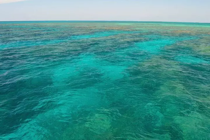 Key West Reef Snorkel & Sail Adventure