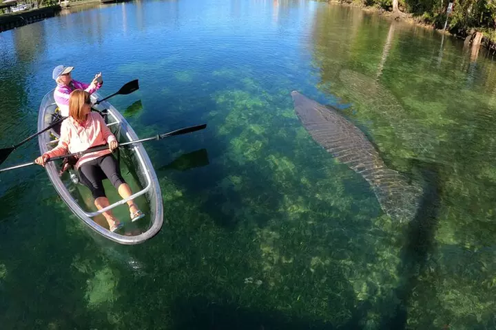 Clear Kayak Manatee Ecotour of Crystal River