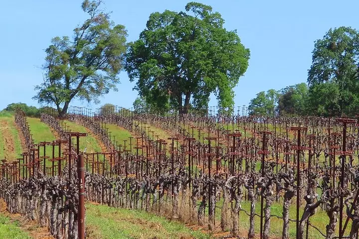 A Highway 49 Drive: A Self-Guided Audio Tour from Placerville to Ja...