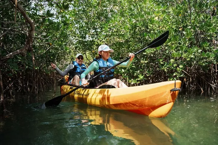 Key West Sandbar Charter With Kayak Tour: Includes Lunch & Drinks