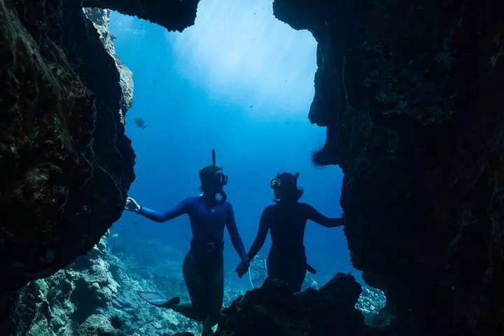 Private Kealakekua Bay Snorkel with Dolphin Watch