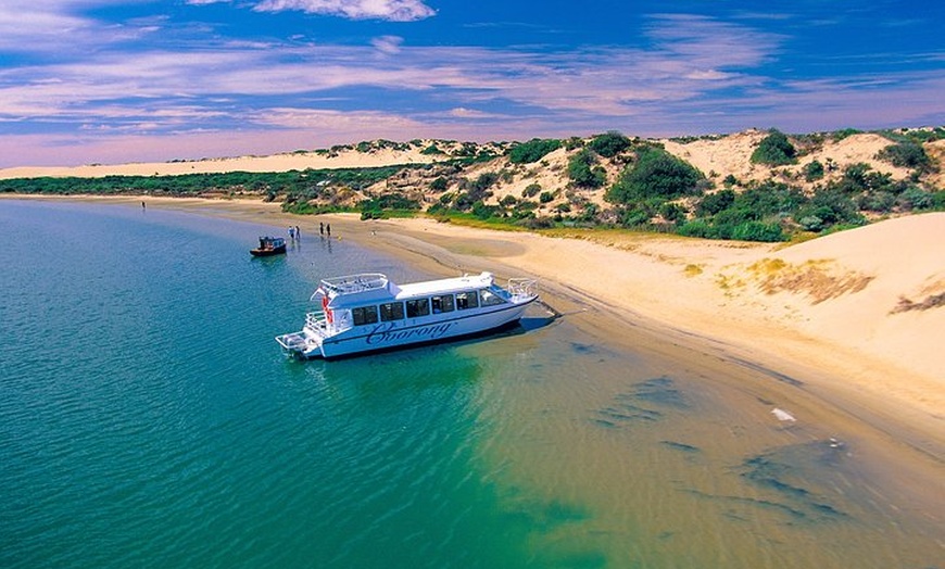 Image 6: Coorong 3.5-Hour Discovery Cruise