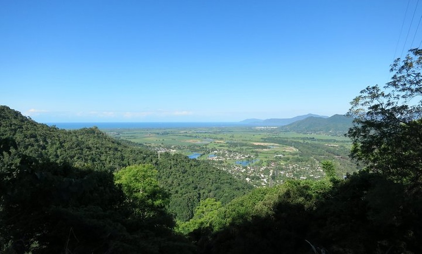 Image 5: Adventure on a Budget Visit Kuranda or Palm Cove from Pt Douglas