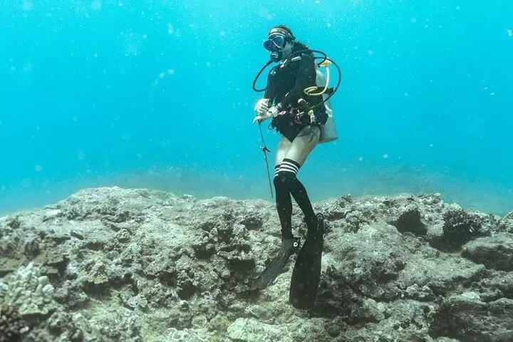 Mesmerizing Private SCUBA Diving Charter in Paradise from Waikiki