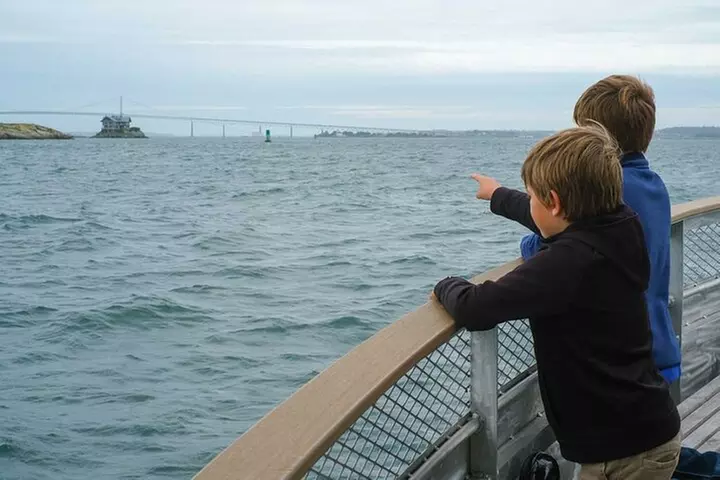 Scenic Bay Cruise of Narragansett Bay from Newport