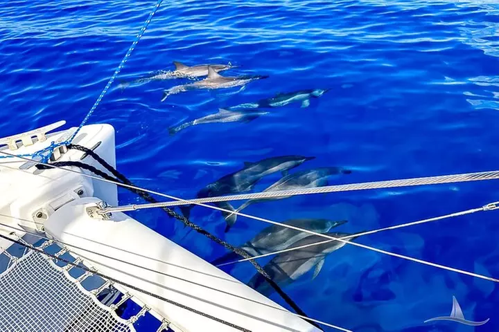 3 Hour Luxury Private Sailing Catamaran for 7-12 People
