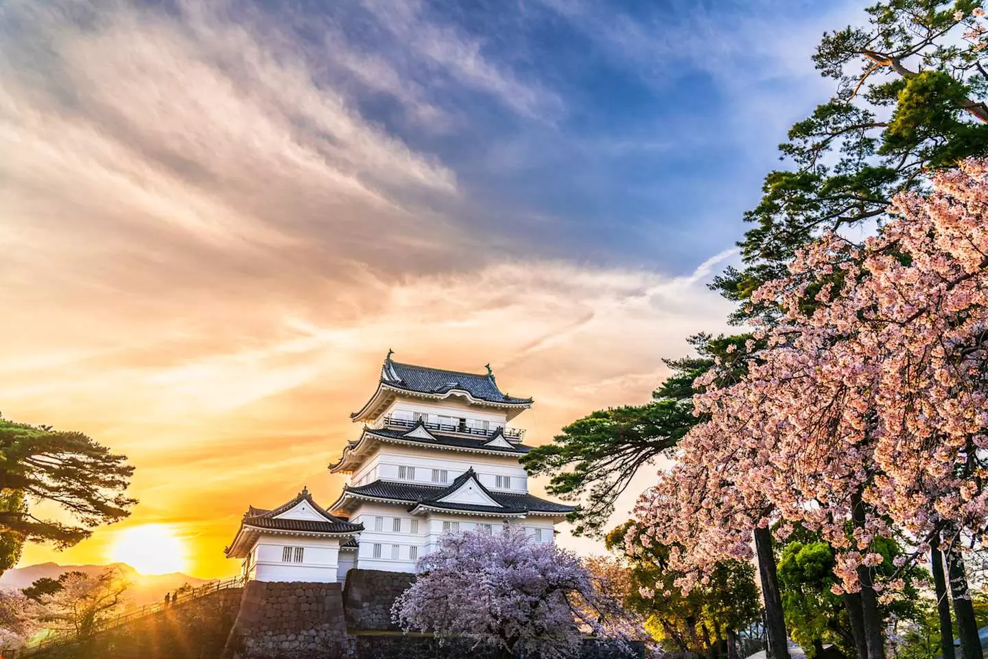 ✈ GIAPPONE | Da Osaka a Tokyo - Kyoto - Hakone - Tokyo 3*, 9 notti ...