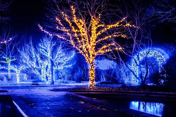 Franklin's Festive Lights Spectacular A Christmas Wonderland Tour - Primary Image