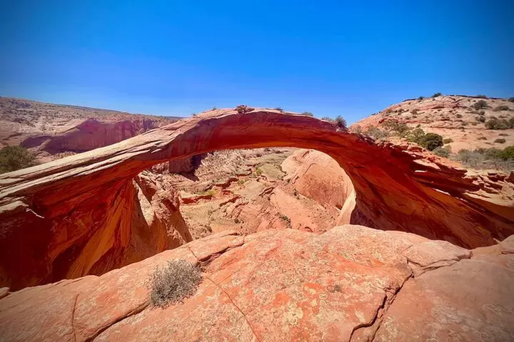 Eggshell Arch Day Tour - Primary Image