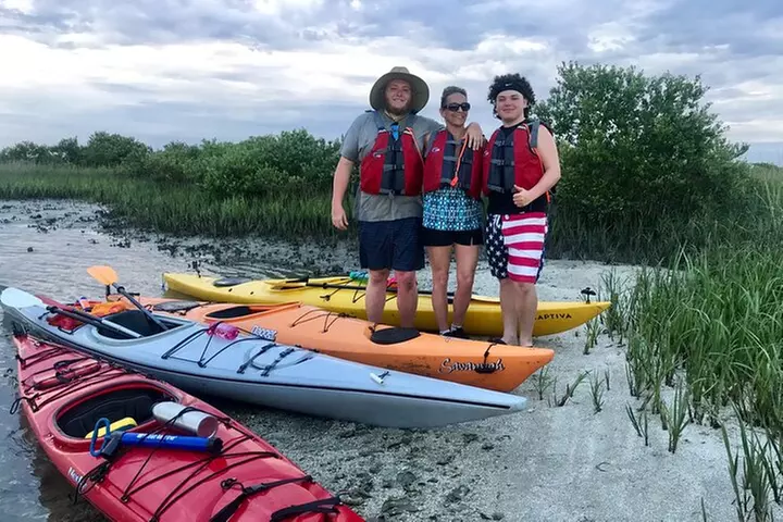 Guided Tour for Dolphin & Sea Turtle Observation in Saint Augustine...