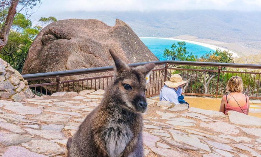 Image 1: Wineglass Bay & Freycinet NP Full Day Tour from Hobart via Richmond...