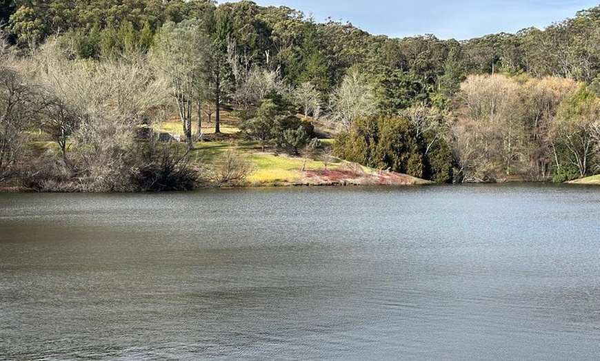 Image 2: Adelaide Cruise Ship Tours to Hahndorf & Hills Wildlife Wonders