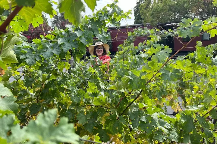 Yountville Food and Wine Tour in Napa