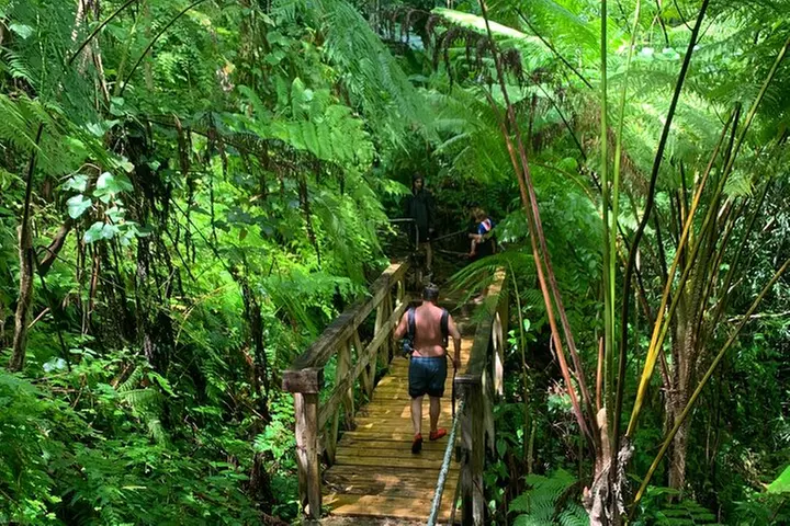 El Yunque National Forest and Luquillo Beach Combo - Primary Image