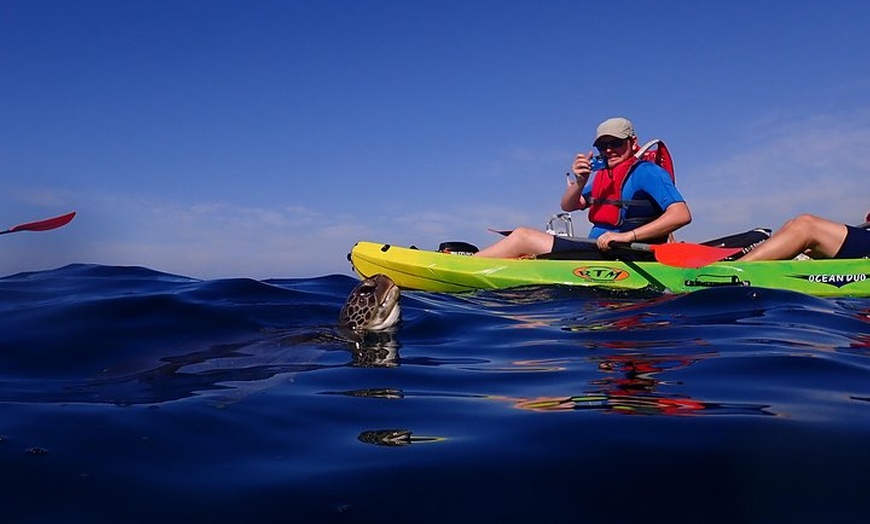 Image 7: Kayak con delfines y tortugas y esnórquel en Tenerife