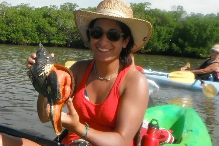 Guided Dolphin Eco Tour by Kayak & SUP - Fort Myers Beach, FL