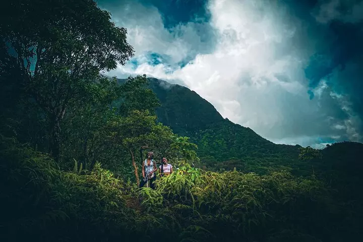 Waterfall Hike in Hawai'i Rainforest Trail