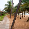 Image 3: ✈ SRI LANKA | Waikkal - Club Hotel Dolphin 4* - All inclusive