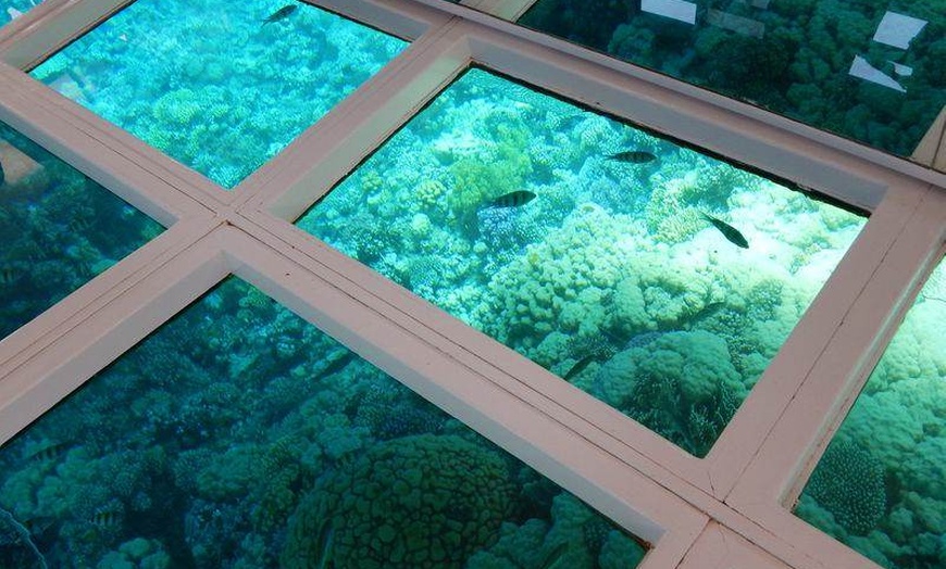 Image 14: ✈ EGYPTE | Sharm El Sheikh - Charmillion Gardens Aqua Park avec tou...