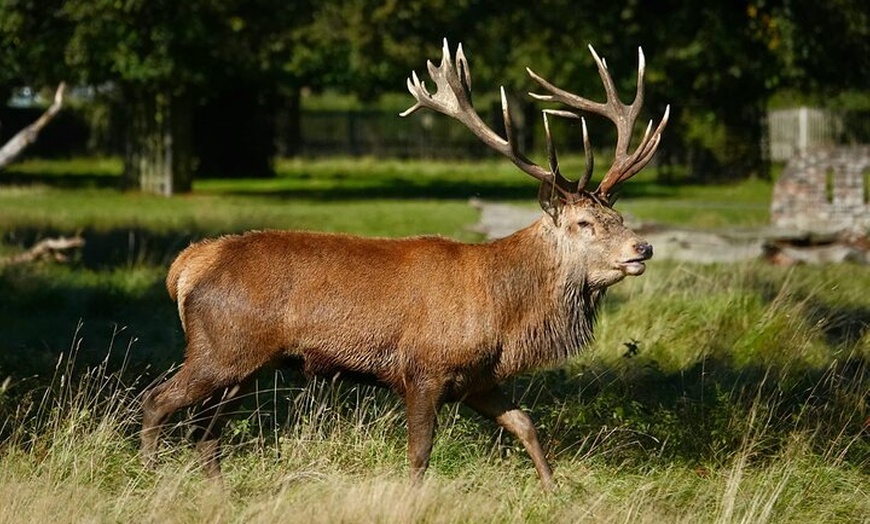 Image 14: Hampton Court Palace from Southampton Cruise Terminal