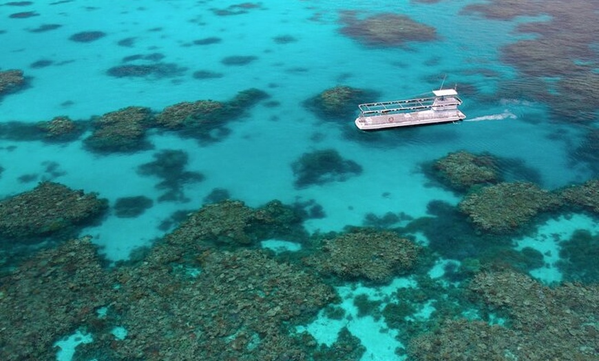 Image 4: Quicksilver Outer Great Barrier Reef Snorkel Cruise from Palm Cove