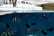 Oahu: 3.5 hour Private Sunset Cruise with Cocktails From Ko Olina - Second Medium