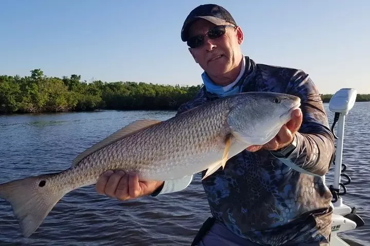 1/2 Day Morning Charter Fishing Naples Marco Everglades Sanibel